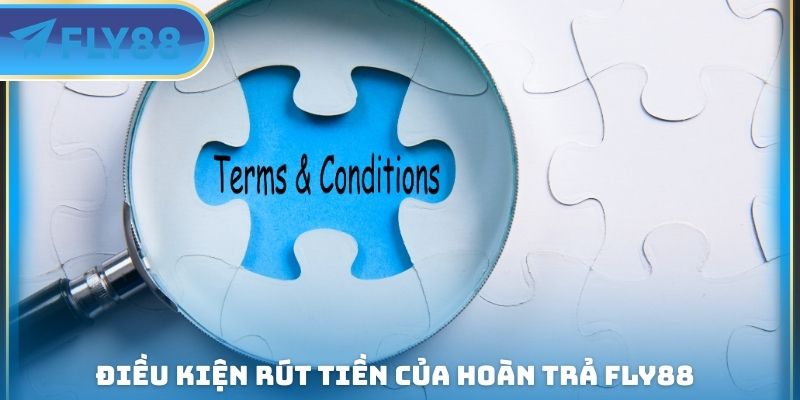 Hoàn Trả FLY88 - Giảm Thiểu Rủi Ro Cá Cược Tại Nền Tảng