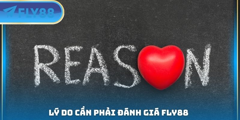 Đánh Giá FLY88 - Tận Dụng Các Quyền Lợi Cá Cược Khác Nhau