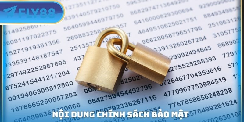 Chính Sách Bảo Mật FLY88 - Cách Giữ An Toàn Thông Tin