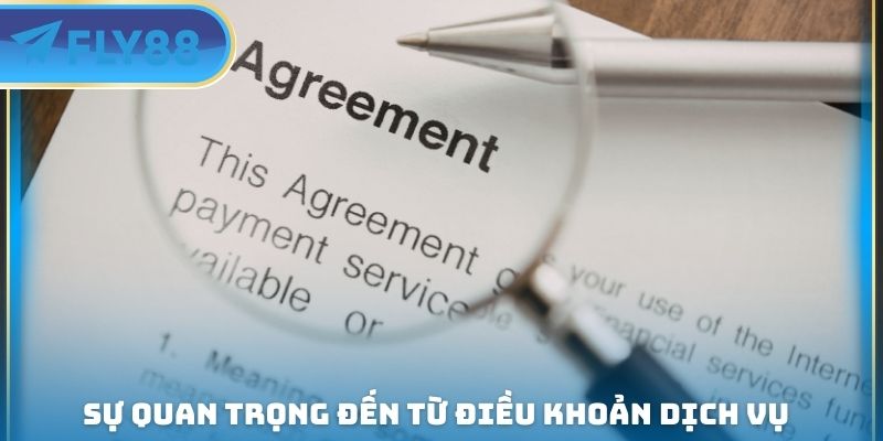 Điều Khoản Dịch Vụ FLY88 - Nghiêm Cấm Các Hành Vi Gian Lận