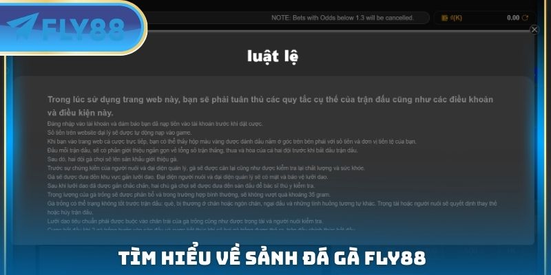Đá Gà FLY88 - Tổ Chức Trận Đấu Công Bằng Giữa Các Chiến Kê